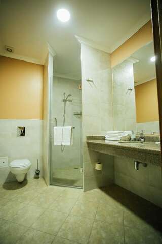 Отель Hotel Aner Нур-Султан Двухместный номер с 1 кроватью-6